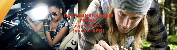 соль курить ск Бородино