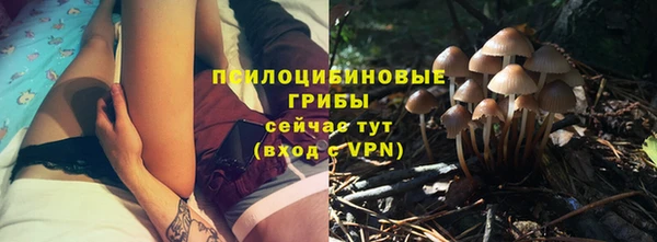 соль курить ск Бородино