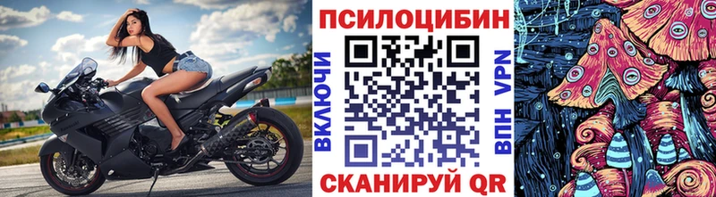 Купить где  Лесосибирск  Псилоцибиновые грибы мицелий 